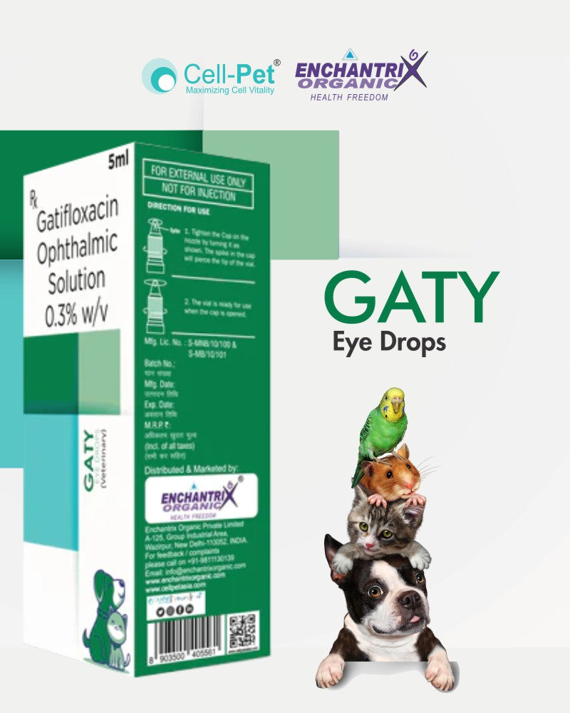 Gaty Eye Drop - 5 ML (Gatifloxacin Ophthalmic Solution 0.3% w/v)