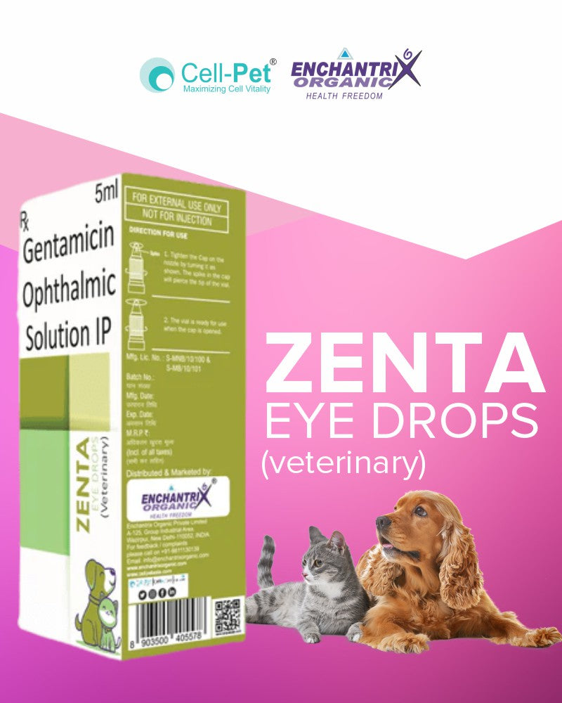 ZENTA Eye drop 5 ML - Gentamycin Ophthalmic Solution
