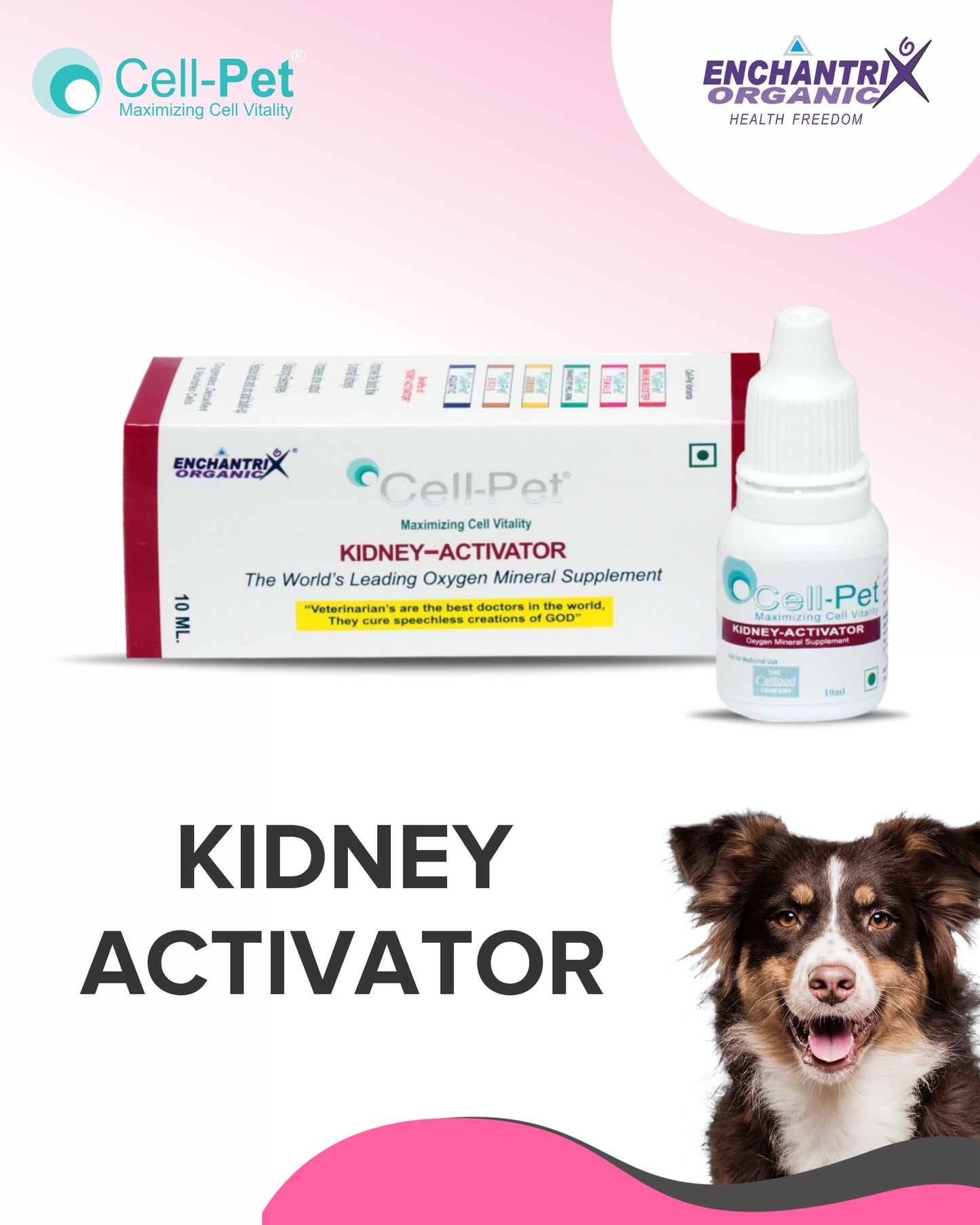 Cell-Pet® Kidney Activator - 10 ml