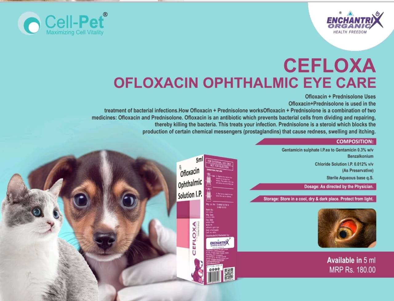 Ofloxacin cat eye drops sale