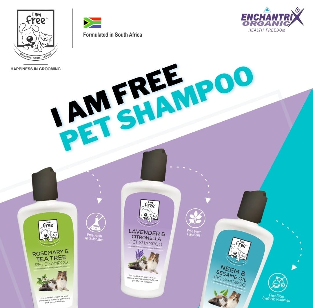 My pet's best sale friend shampoo