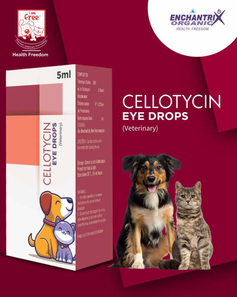 Cellotycin eye drop - 5 ml