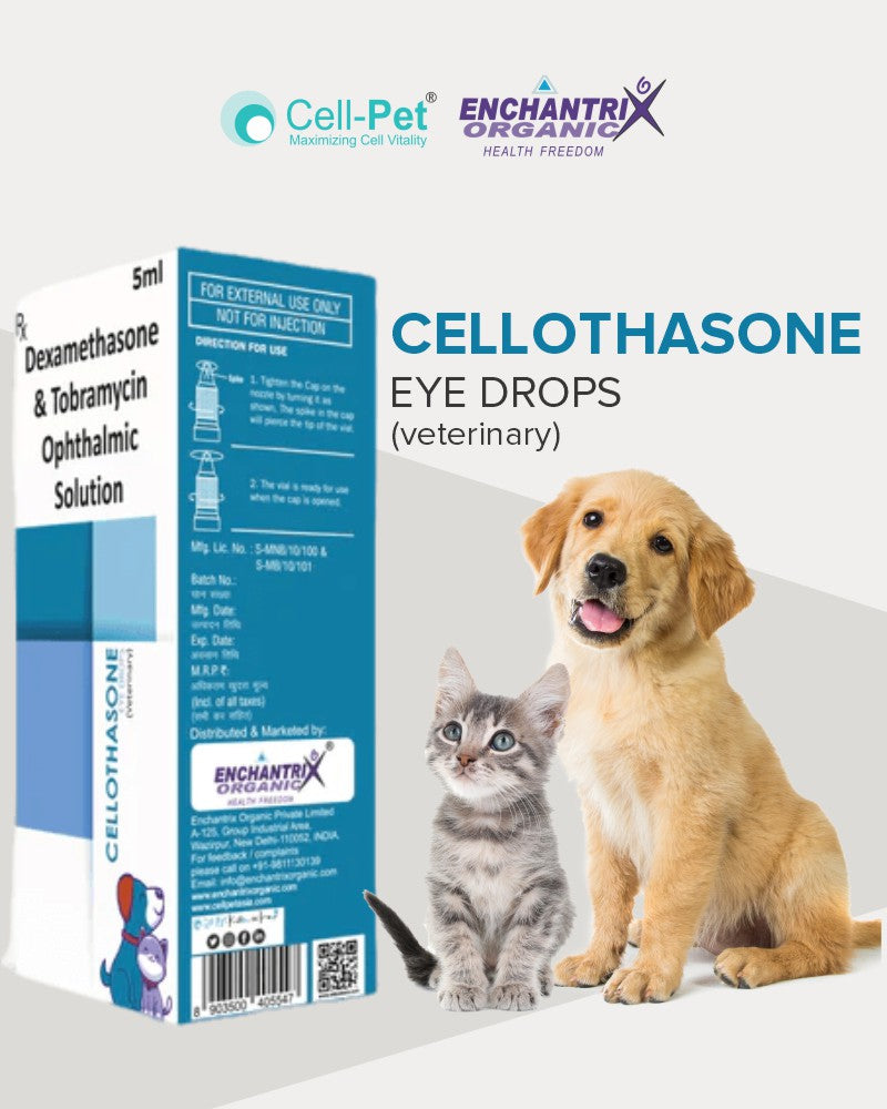 Cellothasone Eye Drop 5 ML cellpetasia